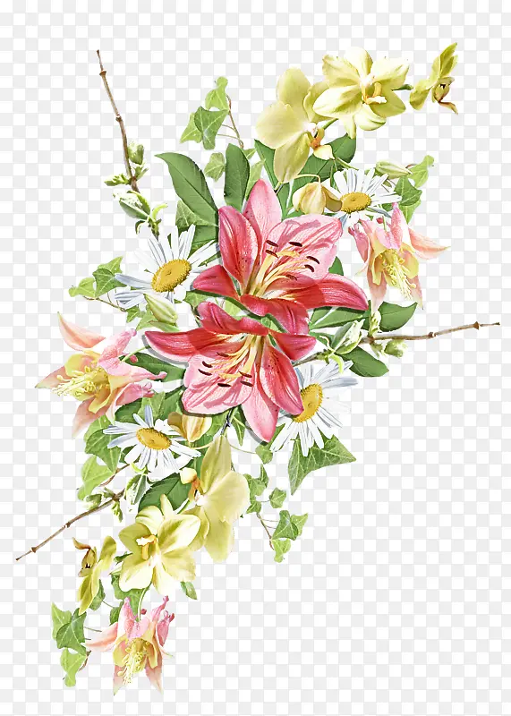 �ɹ���Ʒ�� �л� ����-������