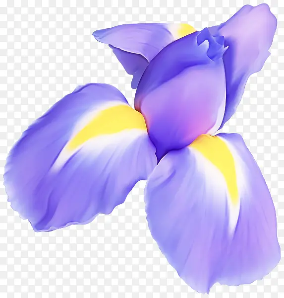 ���� ��ɫ ������-������