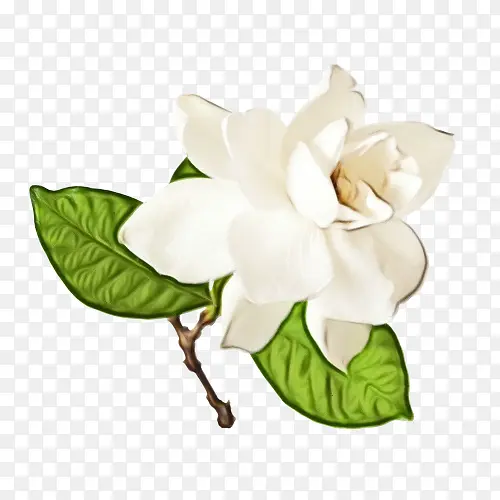 ˮ�ʻ� ���� ʪī-������