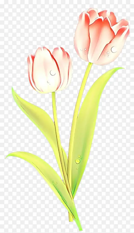 ��ͨ ���� ����ֲ��-������