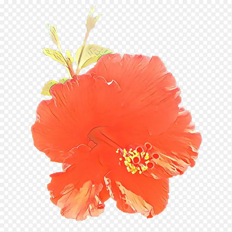 ��ͨ ܽ�� ����ֲ��-������