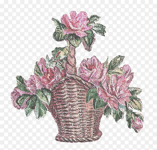 �ɹ���Ʒ���� �� ֲ��-������