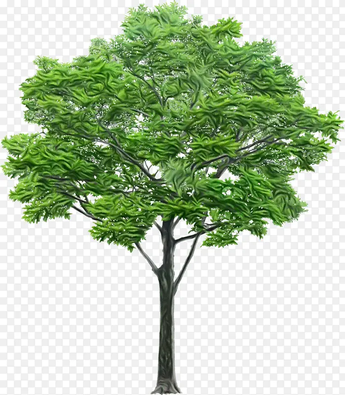 ˮ�� ���� ʪī-������