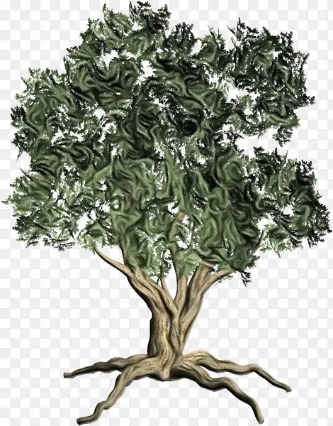 ˮ�ʻ� ���� ʪī-������