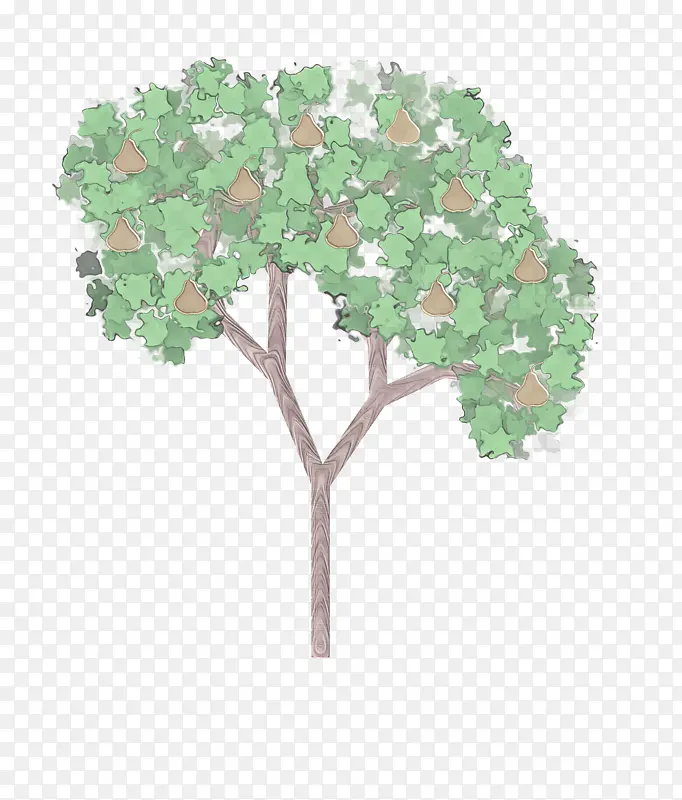 ֲ�� �� ��-������