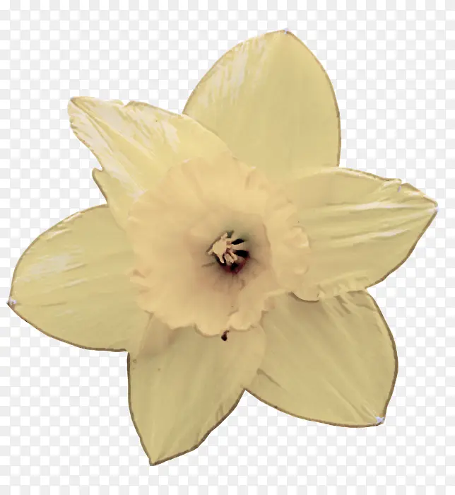 ��ɫ ���� ��ɫ-������