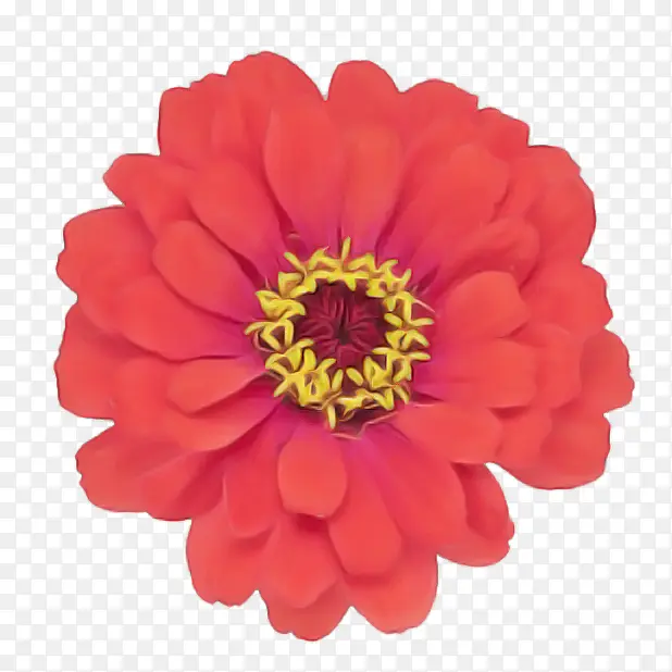 �ɹ���Ʒ�� ���� ���޾�-������