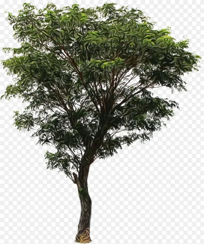 ˮ�� ���� ʪī-������