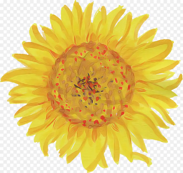 �� ��ɫ Ӣ�����پ�-������