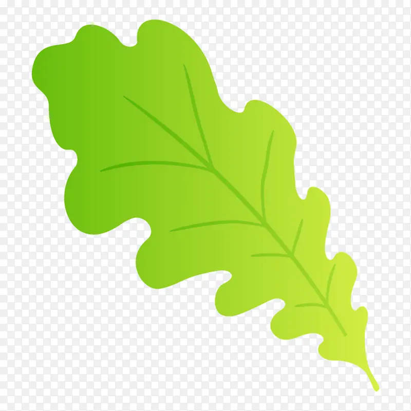 Ҷ�� ��ɫ ֲ��-������