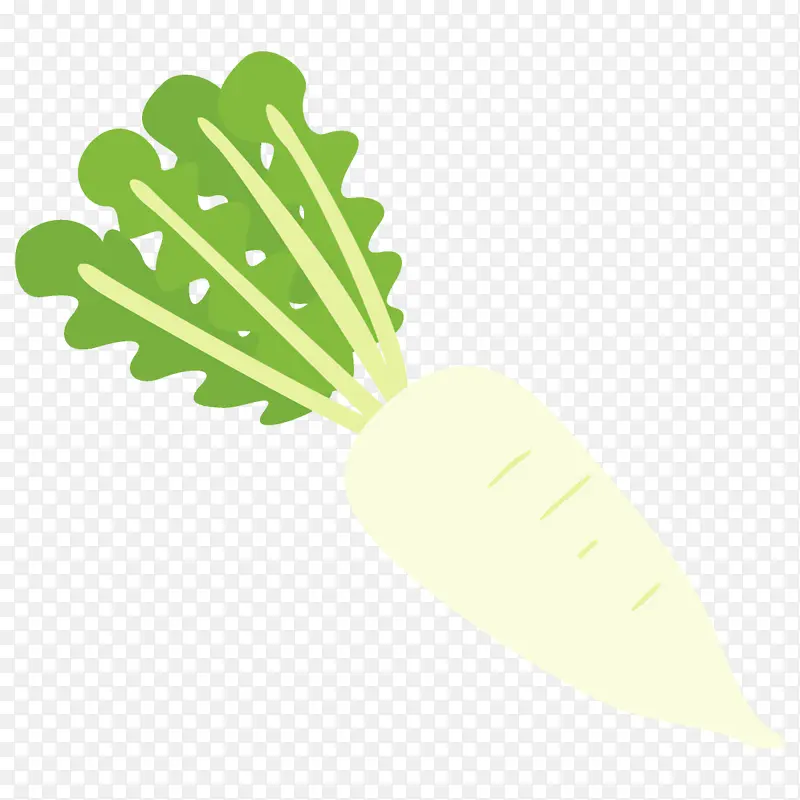 Ҷ ��ɫ �߲�-������