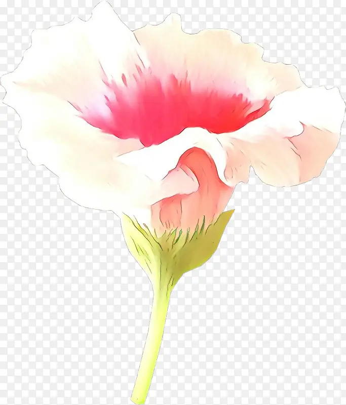 ��ͨ ��ɫ ��ɫ-������