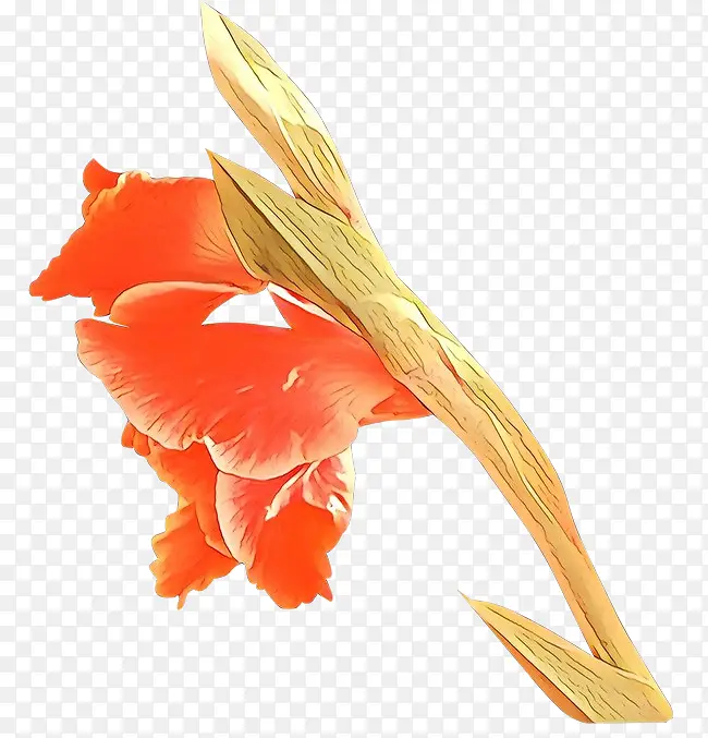 ��ͨ ��ɫ ��ë-������