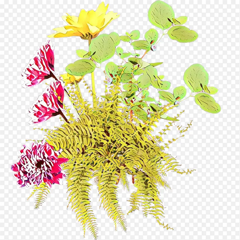 ��ͨ �� ֲ��-������