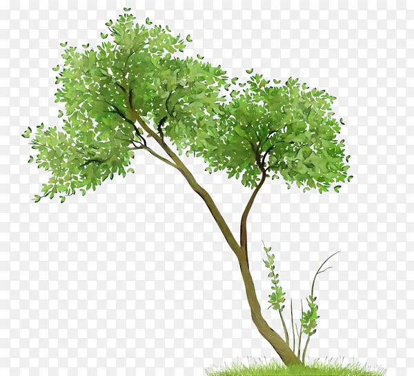 ˮ�� ���� ʪī-������