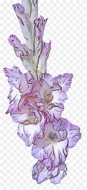 �� ����ֲ�� ������-������