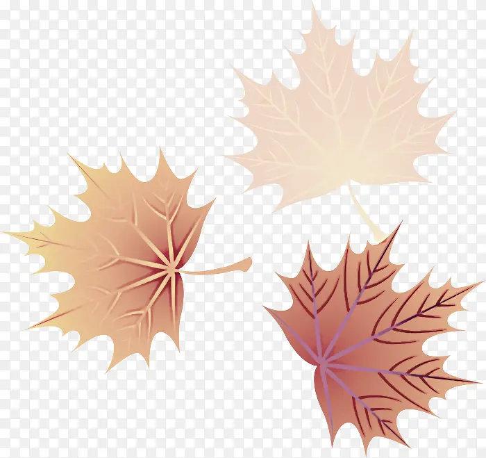 ��Ҷ ��Ҷ ��ľ-������