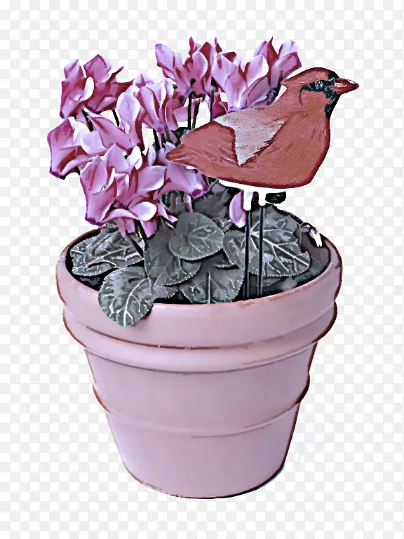 �ɹ���Ʒ�� ���� ֲ��-������