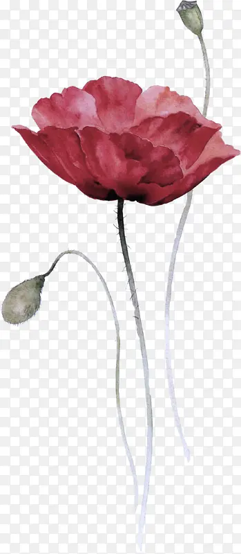 �ɹ���Ʒ�ۺ�ɫ �� ����-������