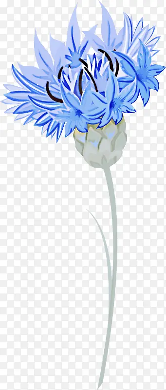 �л� ���� ��ɫ-������