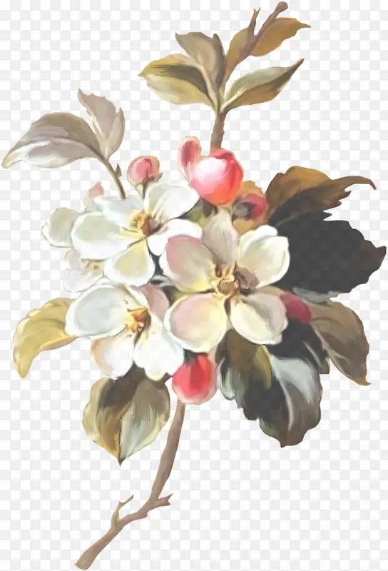 �� ֲ�� ����ֲ��-������