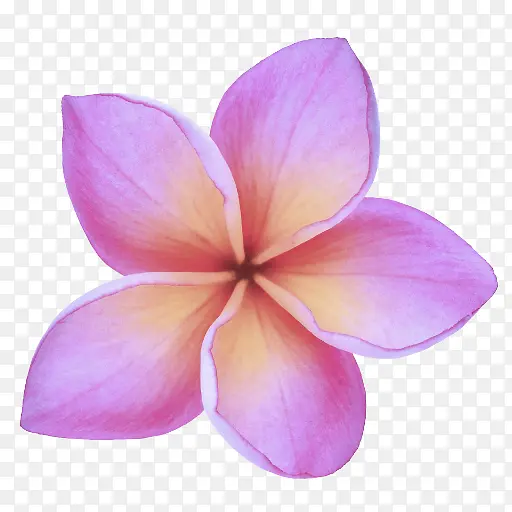 ���� ���������� ��ɫ-������