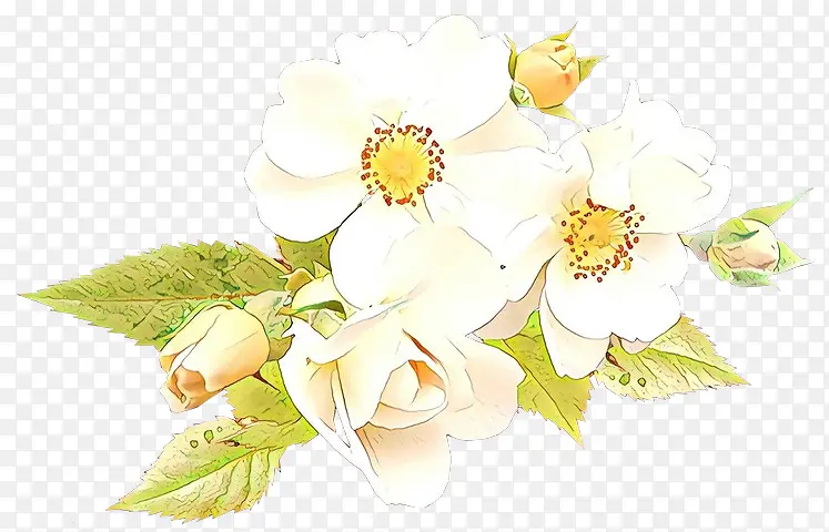 ��ͨ ���� ��ɫ-������