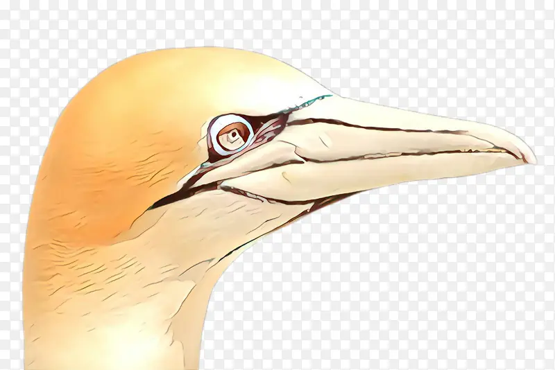 ��ͨ �� ����-������