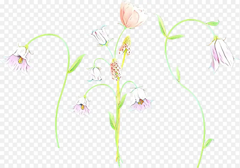 ��ͨ ���� ��-������