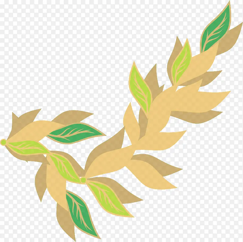 Ҷ ֲ�� ��-������