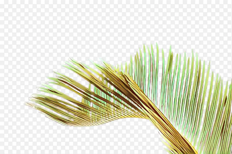 ��ͨ �� ��-������