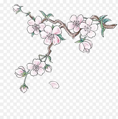 ��֦ �� ֲ��-������