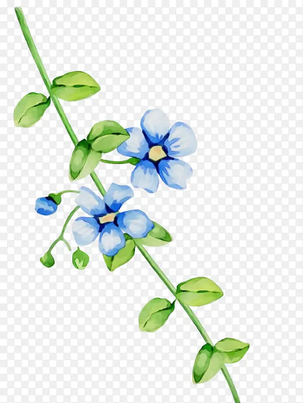 ˮ�� ���� ʪī-������