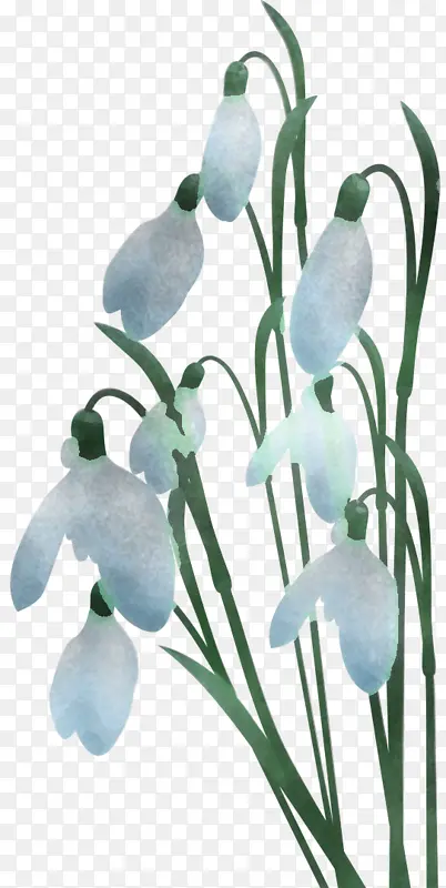 ������˹ ѩ�� ��-������