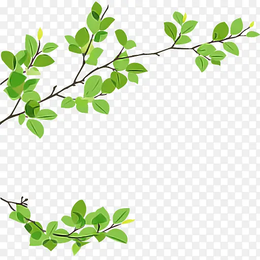 Ҷ ֲ�� ��-������