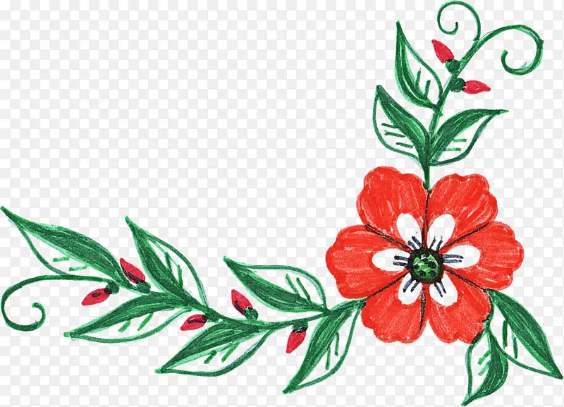 �� ֲ�� Ҷ-������