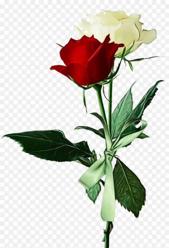 ˮ�� ���� ʪī-������