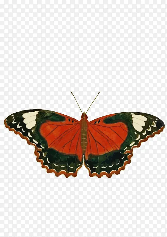 �ɶ�ͺ��� ���� ����-������