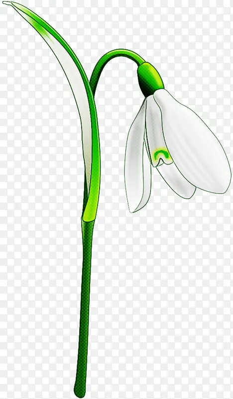 ����ͼ˹ ѩ�� ��-������