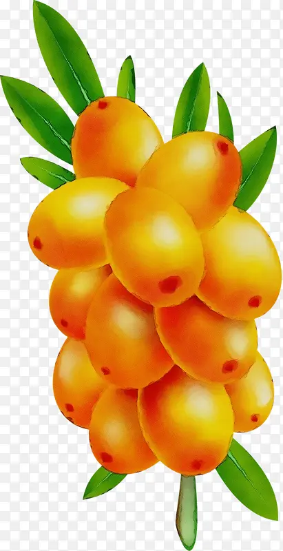 ˮ�� ���� ʪī-������