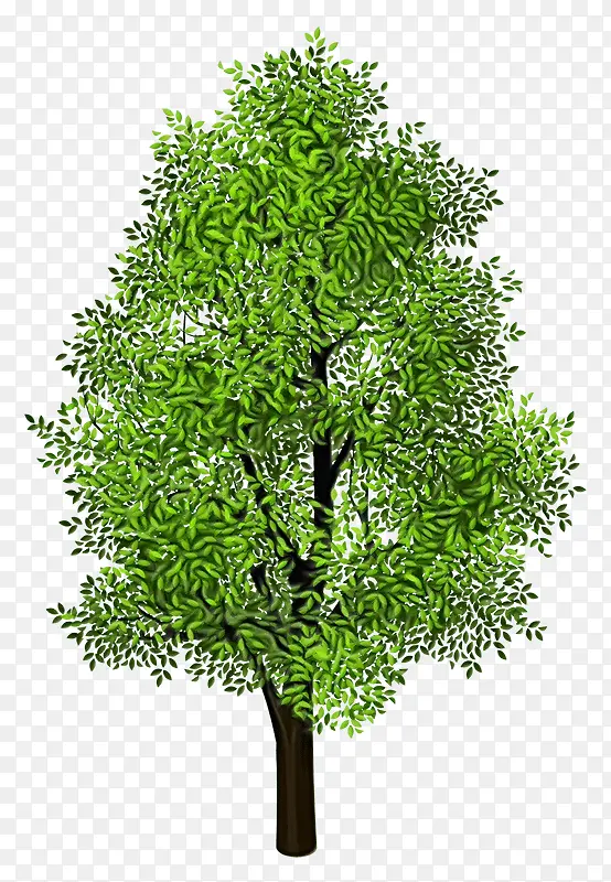 ˮ�� ���� ʪī-������