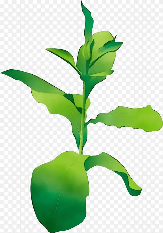 ˮ�ʻ� ���� ʪī-������