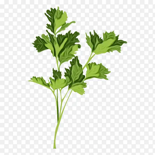 ˮ�ʻ� ���� ʪīˮ-������