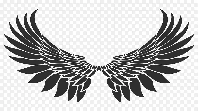 ����˰-����-������