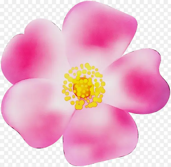 ˮ�� ���� ʪī-������