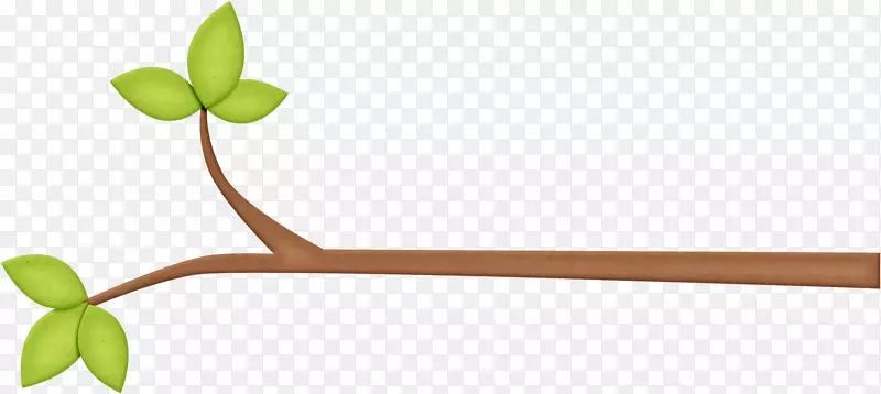 ��֦����Ҷ����֦��������-֦-������