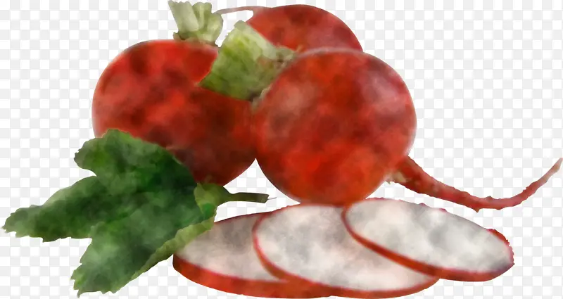 �ܲ� ʳƷ ��˸�-������