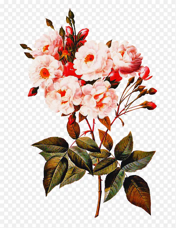 ����ֲ�� �� ֲ��-������