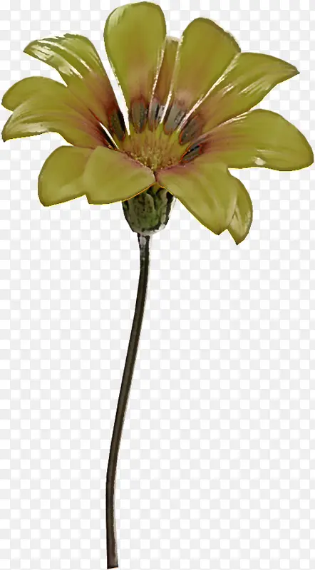 �� ����ֲ�� ֲ��-������