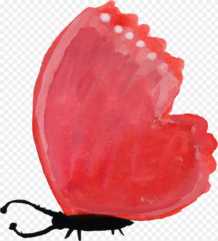 ֽ����ˮ�ʻ�����ˮ�ʻ�����-������